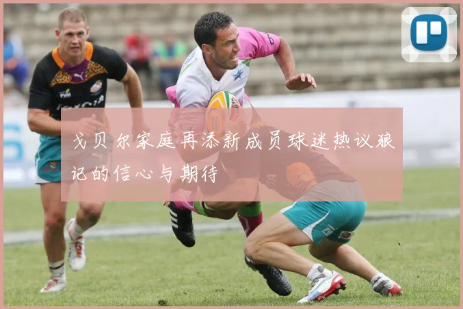 戈贝尔家庭再添新成员球迷热议狼记的信心与期待