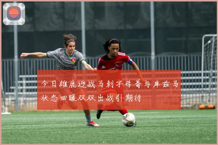 今日雄鹿迎战马刺字母哥与库兹马状态回暖双双出战引期待